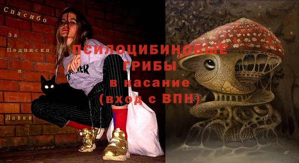 каннабис Абаза