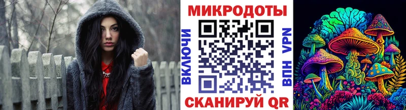 где купить наркоту  Шимановск  Псилоцибиновые грибы Psilocybine cubensis 